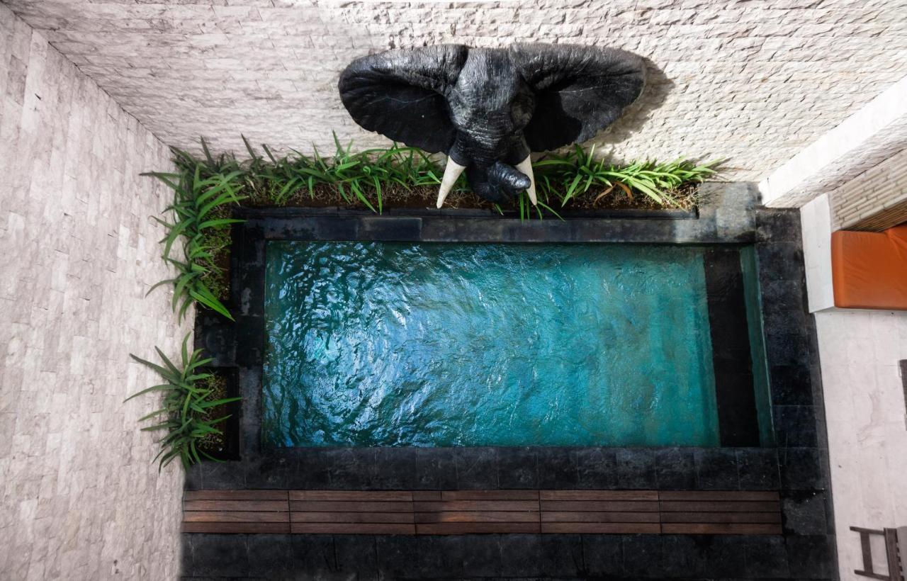 Colibry Villa Sanur Kültér fotó